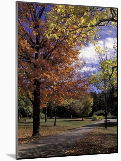 Autumn Colors and Roadway, Bernheim Forest and Arboretum, Clermont, Kentucky, USA-Adam Jones-Mounted Photographic Print