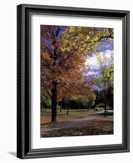 Autumn Colors and Roadway, Bernheim Forest and Arboretum, Clermont, Kentucky, USA-Adam Jones-Framed Photographic Print