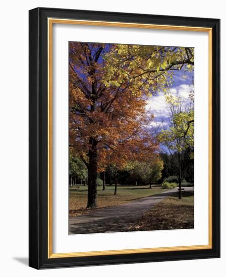 Autumn Colors and Roadway, Bernheim Forest and Arboretum, Clermont, Kentucky, USA-Adam Jones-Framed Photographic Print