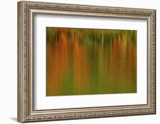 Autumn colors at Echo Lake, Echo Lake SP, New Hampshire, USA-Michel Hersen-Framed Photographic Print