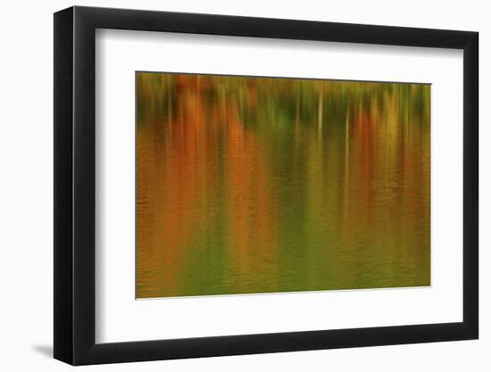 Autumn colors at Echo Lake, Echo Lake SP, New Hampshire, USA-Michel Hersen-Framed Photographic Print