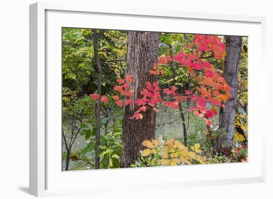 Autumn Colors at Independence State Park in Defiance, Ohio, USA-Chuck Haney-Framed Photographic Print