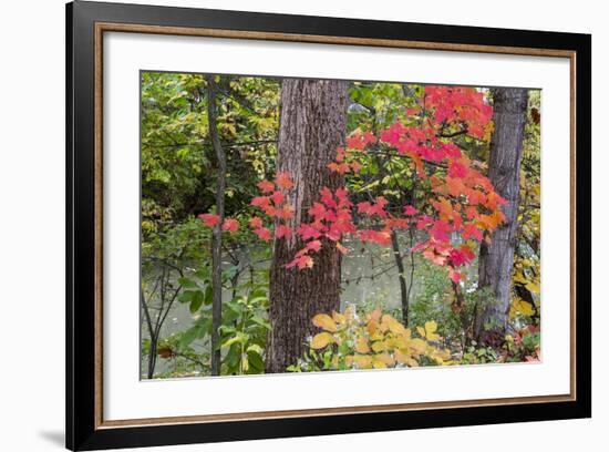 Autumn Colors at Independence State Park in Defiance, Ohio, USA-Chuck Haney-Framed Photographic Print