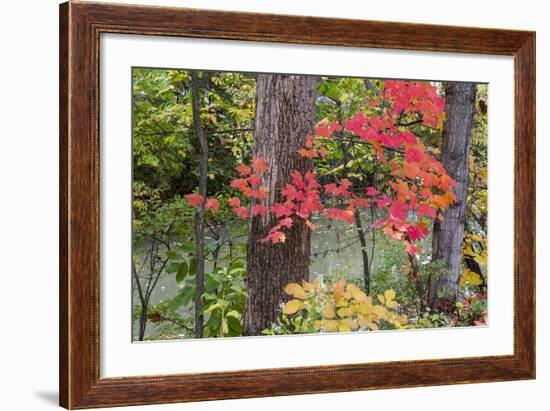 Autumn Colors at Independence State Park in Defiance, Ohio, USA-Chuck Haney-Framed Photographic Print