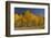 Autumn Colors, Boulder Mountains, Sawtooth National Forest, Idaho, USA-Michel Hersen-Framed Photographic Print