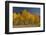 Autumn Colors, Boulder Mountains, Sawtooth National Forest, Idaho, USA-Michel Hersen-Framed Photographic Print