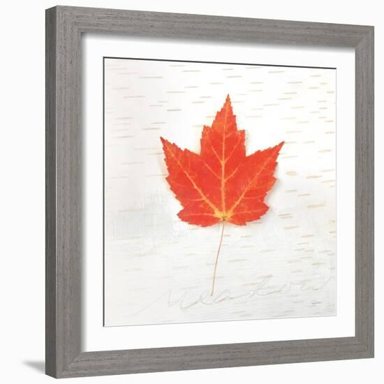 Autumn Colors I-Sue Schlabach-Framed Art Print