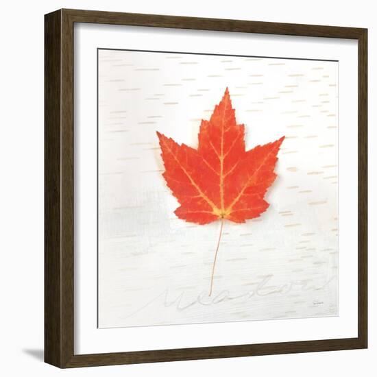 Autumn Colors I-Sue Schlabach-Framed Art Print