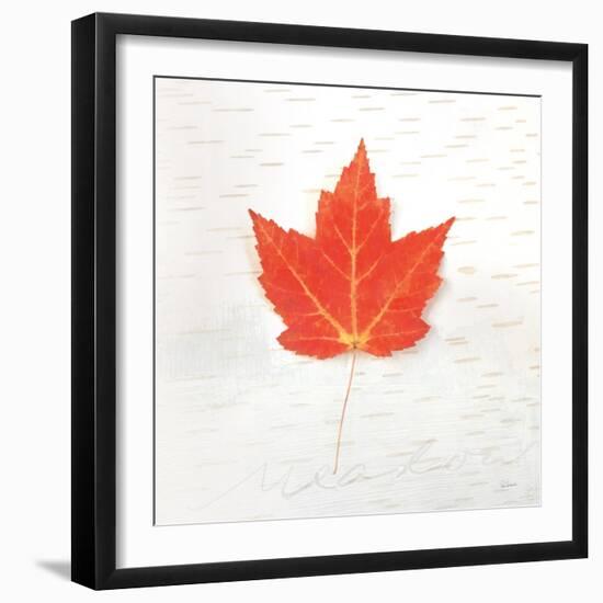 Autumn Colors I-Sue Schlabach-Framed Art Print