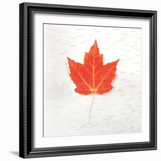 Autumn Colors I-Sue Schlabach-Framed Art Print