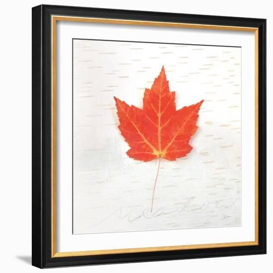 Autumn Colors I-Sue Schlabach-Framed Art Print