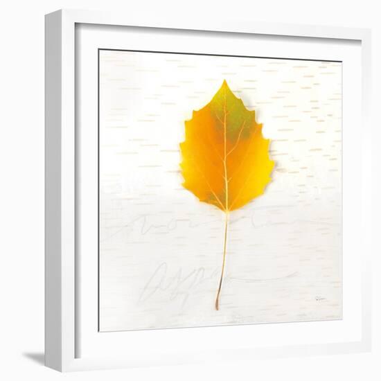 Autumn Colors III-Sue Schlabach-Framed Art Print