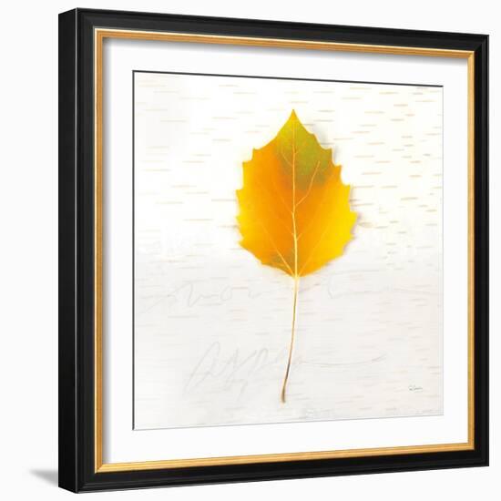 Autumn Colors III-Sue Schlabach-Framed Art Print