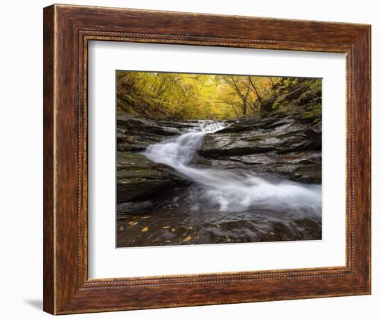 Autumn Colors in a beech trees wood with a waterfall flowing between rocks, long exposure-Francesco Fanti-Framed Photographic Print