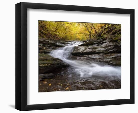 Autumn Colors in a beech trees wood with a waterfall flowing between rocks, long exposure-Francesco Fanti-Framed Photographic Print