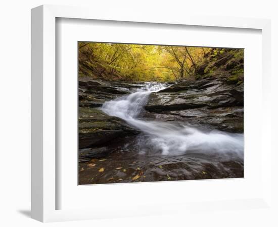 Autumn Colors in a beech trees wood with a waterfall flowing between rocks, long exposure-Francesco Fanti-Framed Photographic Print