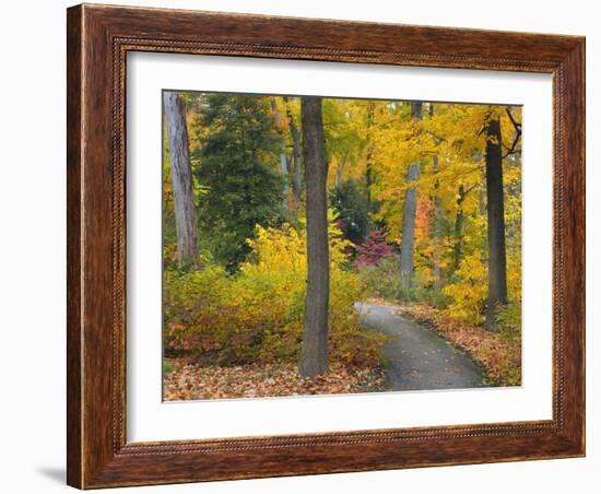 Autumn Colors in Black and White, Longwood Gardens, Pennsylvania, Usa-Adam Jones-Framed Photographic Print