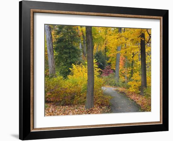 Autumn Colors in Black and White, Longwood Gardens, Pennsylvania, Usa-Adam Jones-Framed Photographic Print