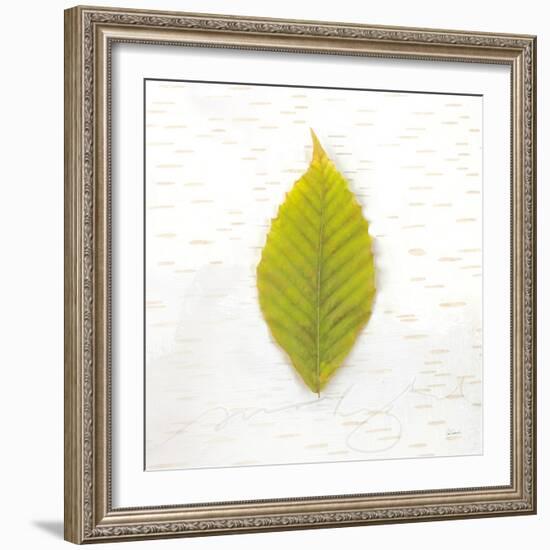 Autumn Colors IV-Sue Schlabach-Framed Art Print