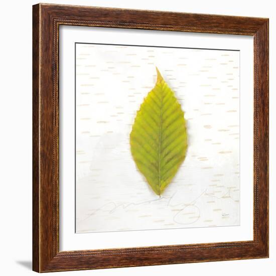 Autumn Colors IV-Sue Schlabach-Framed Art Print