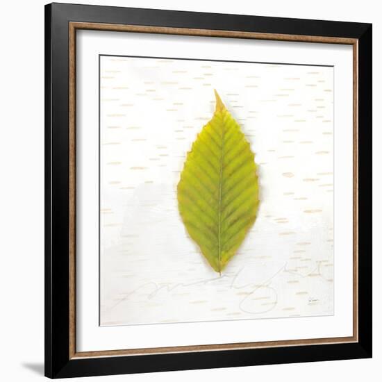 Autumn Colors IV-Sue Schlabach-Framed Art Print