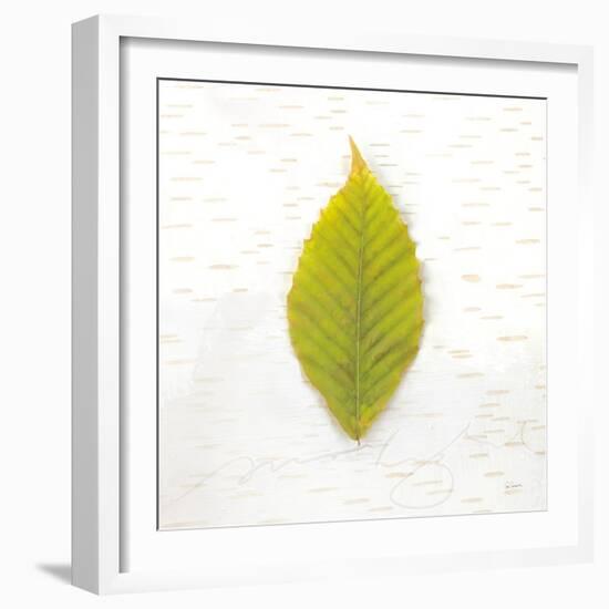 Autumn Colors IV-Sue Schlabach-Framed Art Print