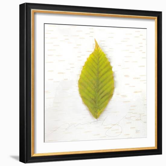 Autumn Colors IV-Sue Schlabach-Framed Art Print