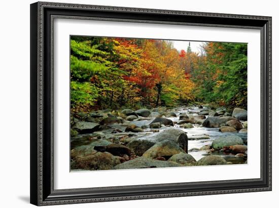 Autumn Colors, Lost River, New Hampshire-George Oze-Framed Photographic Print