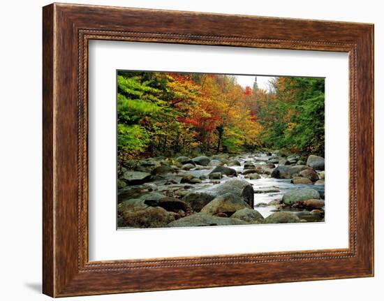 Autumn Colors, Lost River, New Hampshire-George Oze-Framed Photographic Print