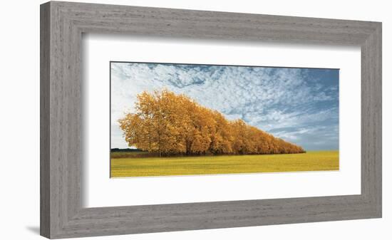 Autumn Colors, no. 1-Carlos Casamayor-Framed Giclee Print