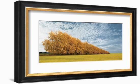 Autumn Colors, no. 1-Carlos Casamayor-Framed Giclee Print