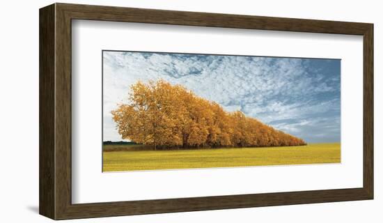 Autumn Colors, no. 1-Carlos Casamayor-Framed Giclee Print