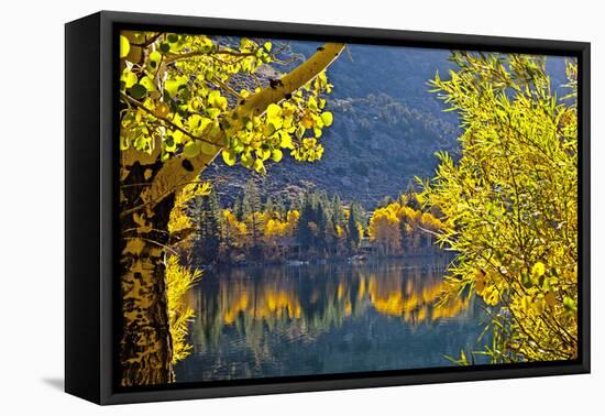 Autumn Colors of the June Lake Loop, California, USA-Joe Restuccia III-Framed Premier Image Canvas