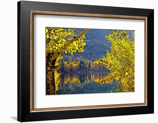 Autumn Colors of the June Lake Loop, California, USA-Joe Restuccia III-Framed Photographic Print