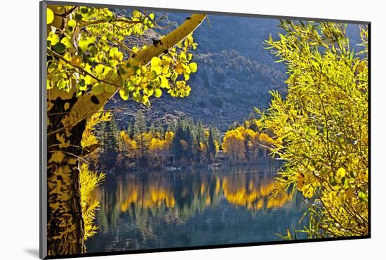 Autumn Colors of the June Lake Loop, California, USA-Joe Restuccia III-Mounted Photographic Print