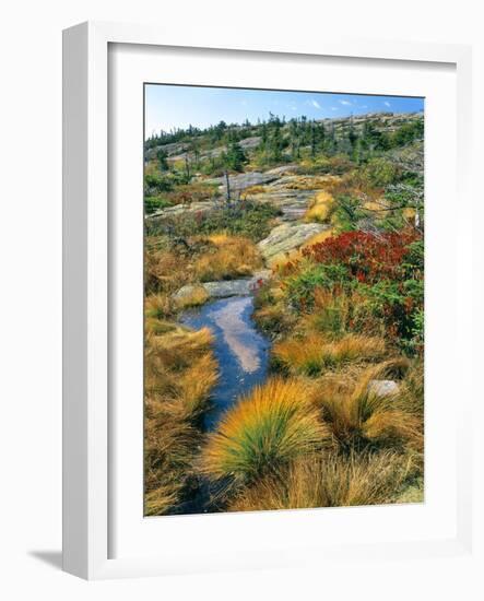Autumn Colors on Cadillac Mountain-Steve Terrill-Framed Photographic Print
