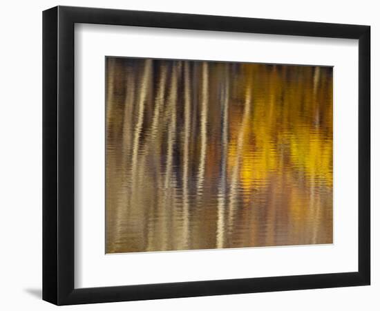 Autumn Colors Reflect in the Calm Water of Price Lake, Blue Ridge Parkway, North Carolina, USA-Chuck Haney-Framed Photographic Print