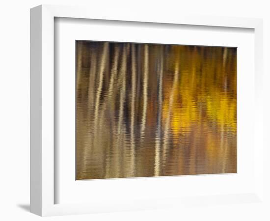 Autumn Colors Reflect in the Calm Water of Price Lake, Blue Ridge Parkway, North Carolina, USA-Chuck Haney-Framed Photographic Print