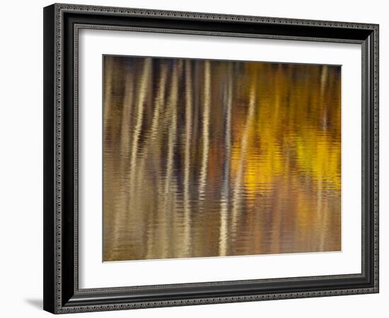 Autumn Colors Reflect in the Calm Water of Price Lake, Blue Ridge Parkway, North Carolina, USA-Chuck Haney-Framed Photographic Print