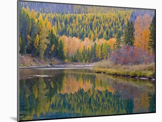 Autumn Colors reflect into McDonald Creek, Glacier National Park, Montana, USA-Chuck Haney-Mounted Photographic Print