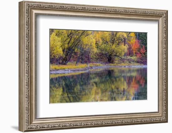 Autumn Colors Reflect into the Whitefish River in Whitefish, Montana, Usa-Chuck Haney-Framed Photographic Print