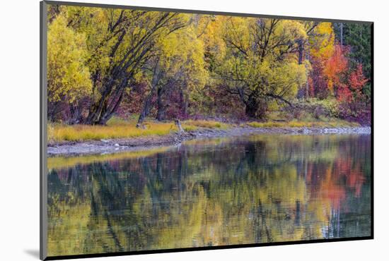 Autumn Colors Reflect into the Whitefish River in Whitefish, Montana, Usa-Chuck Haney-Mounted Photographic Print