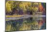 Autumn Colors Reflect into the Whitefish River in Whitefish, Montana, Usa-Chuck Haney-Mounted Photographic Print
