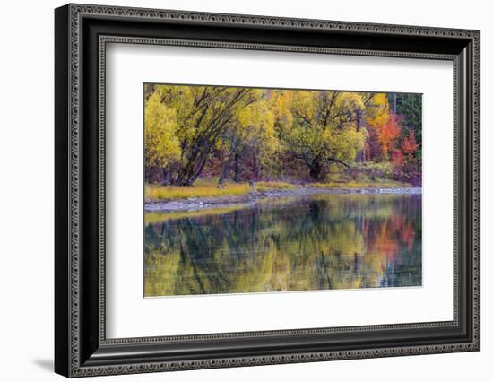 Autumn Colors Reflect into the Whitefish River in Whitefish, Montana, Usa-Chuck Haney-Framed Photographic Print