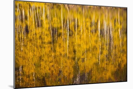 Autumn Colors Reflect Upon A Lake In Telluride, CO-Dan Holz-Mounted Photographic Print