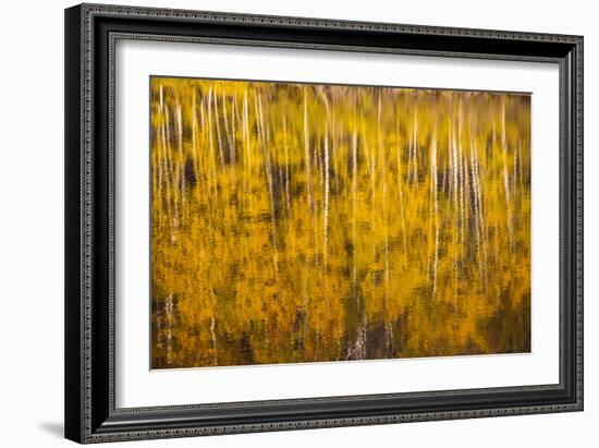 Autumn Colors Reflect Upon A Lake In Telluride, CO-Dan Holz-Framed Photographic Print