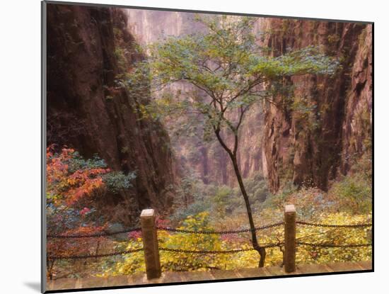 Autumn Colors, Xihai (West Sea) Valley, Mount Huangshan (Yellow Mountain), Anhui Province-Jochen Schlenker-Mounted Photographic Print