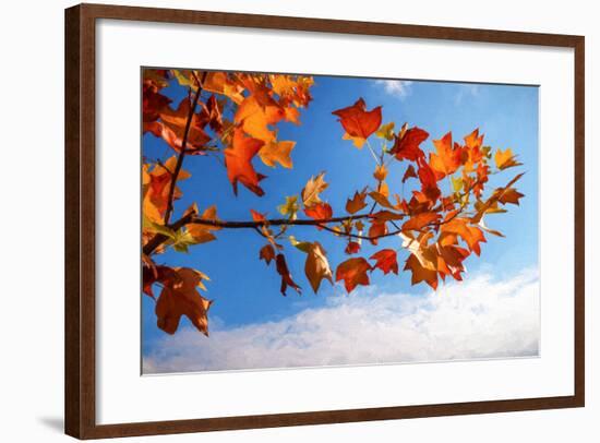 Autumn Colors-Philippe Sainte-Laudy-Framed Photographic Print