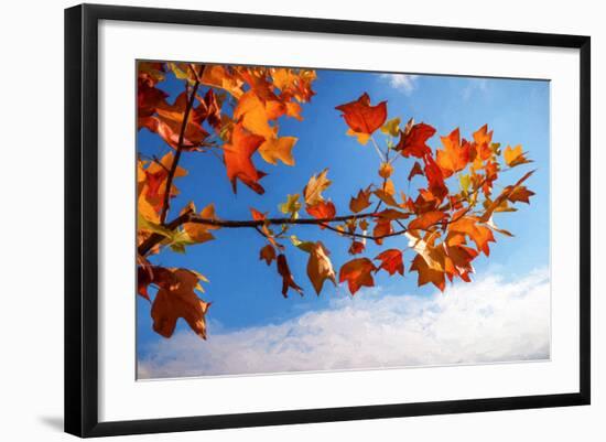 Autumn Colors-Philippe Sainte-Laudy-Framed Photographic Print