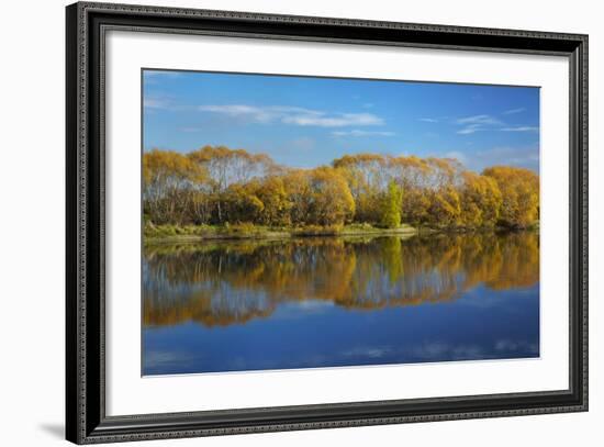 Autumn Colour and Clutha River at Kaitangata, Near Balclutha, New Zealand-David Wall-Framed Photographic Print